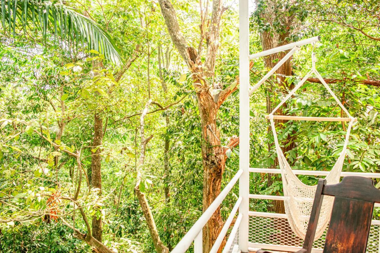 Casa Valentina - Ocean, Nature, Relax, Central Quepos Luaran gambar